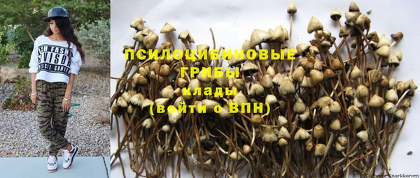 не бодяженный Богородицк